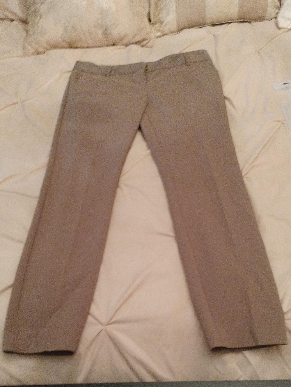 Express Women's Cropped Dress Pants in Light Taupe